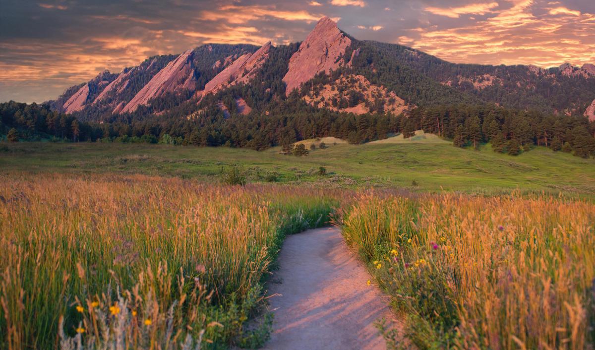 Dirt path lined with wild flowers leading to the Flatirons at Sunset