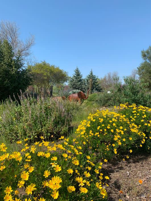 Clovis Botanical Garden
