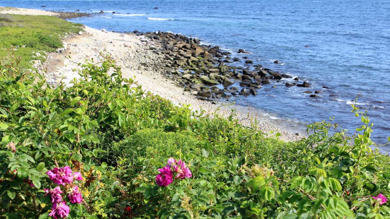 Fishermen's Memorial State Park-Narragansett-South County