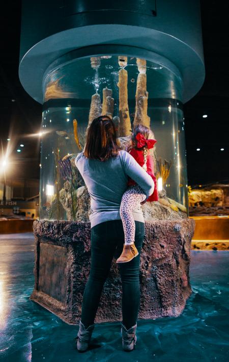 Linving Shores Aquarium: Mother and Daughter Looking at Exhibit