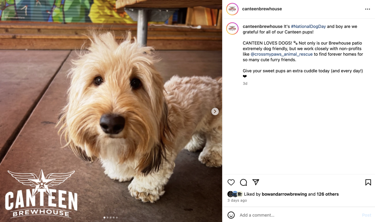 Screenshot of a post from Canteen Brewhouse about National Dog Day on Instagram.
