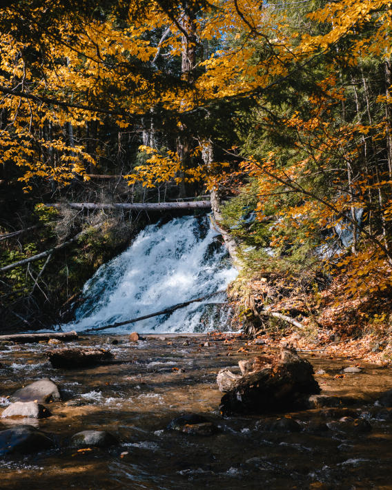 Unnamed Morgan Falls in the fall