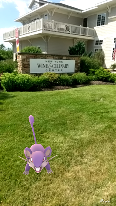finger-lakes-new-york-wine-culinary center-canandaigaua-pokemon-sign