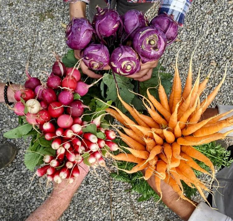 Crabtree Farm's Produce