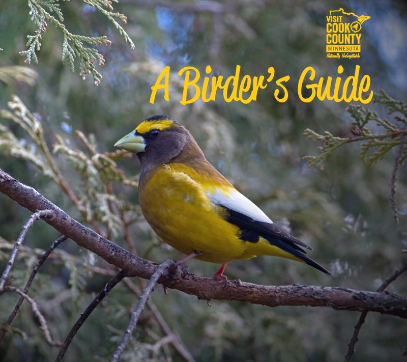 A Birder's Guide to Cook County, MN