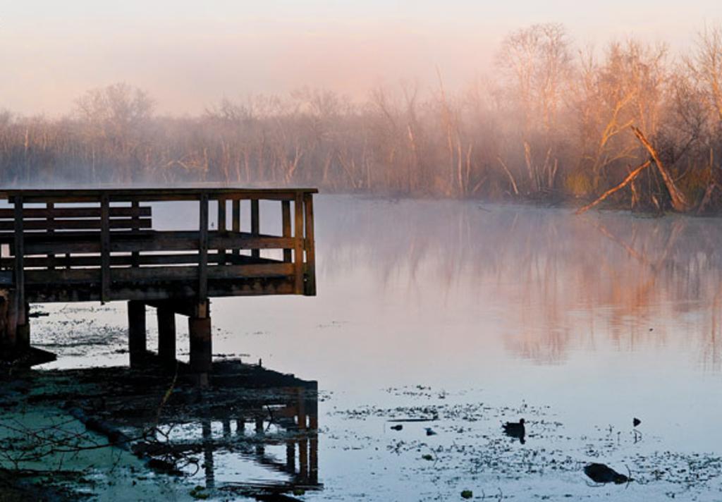 brazos bend 5