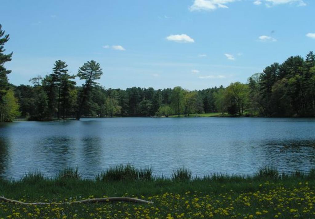 Clear Lake Park