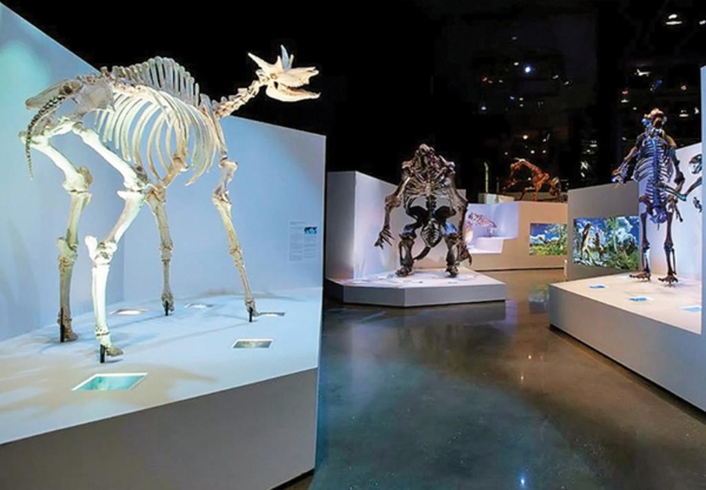 hmns for citypass