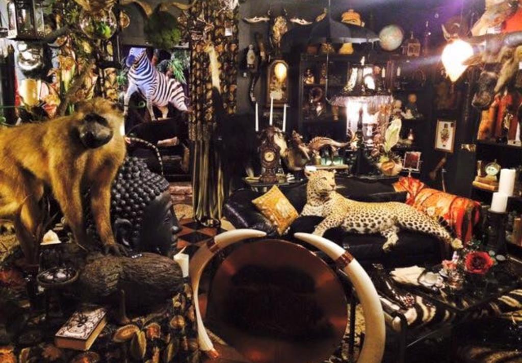 The Wilde Collection