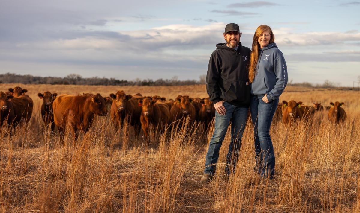 man and woman stand together in a field, cattle are behind them
