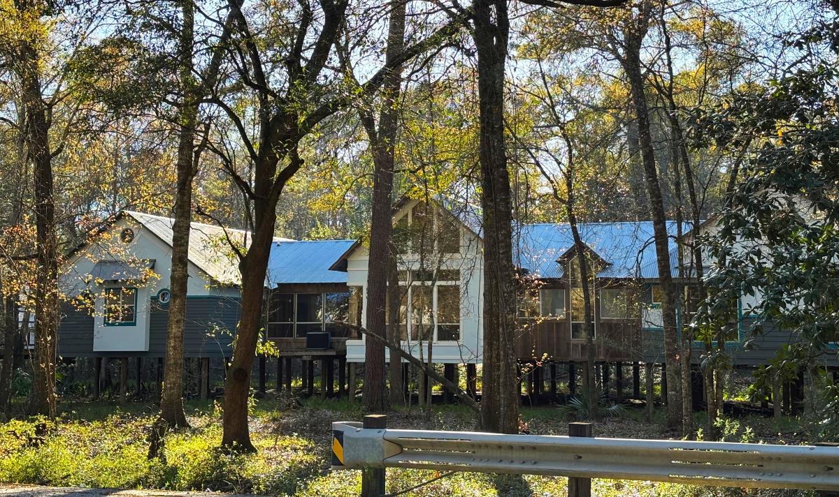 The elevated Visit The Northshore Visitor Center rises among pine and hardwood trees along Highway 59 in Mandeville.