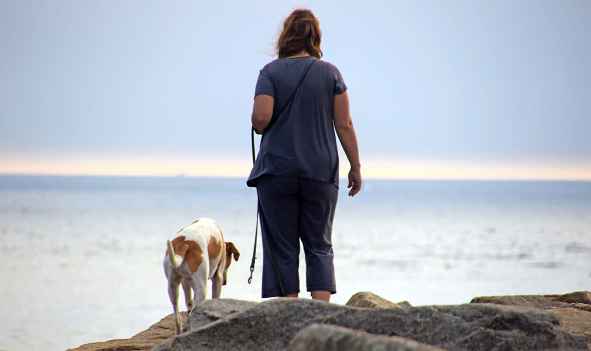 Dog on Beach