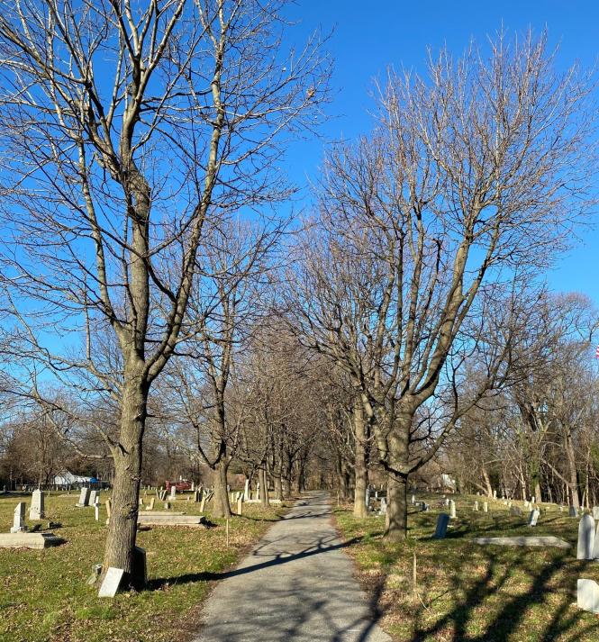 A road winding through Brewer Hill Cemetery.