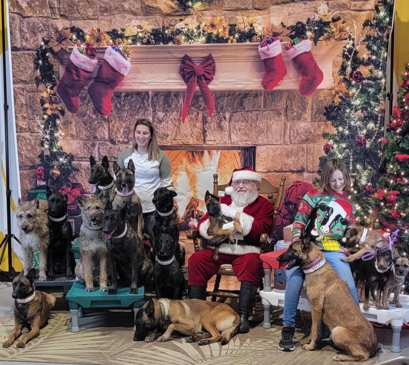 Santa Paws