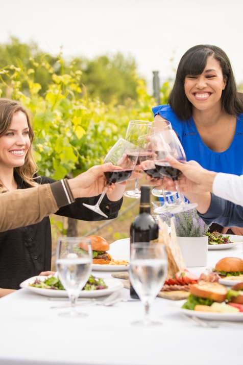 Group dining in vineyards