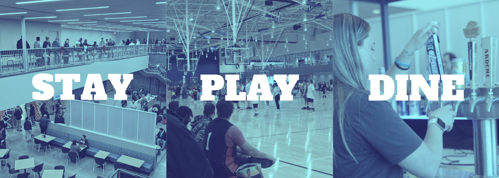 SPD Header 2