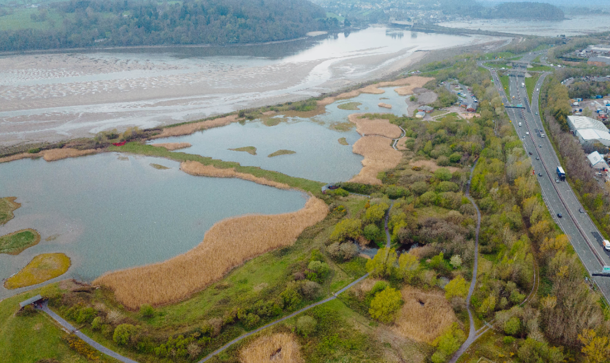 Aerial view of Conway RSPB showing water and trees