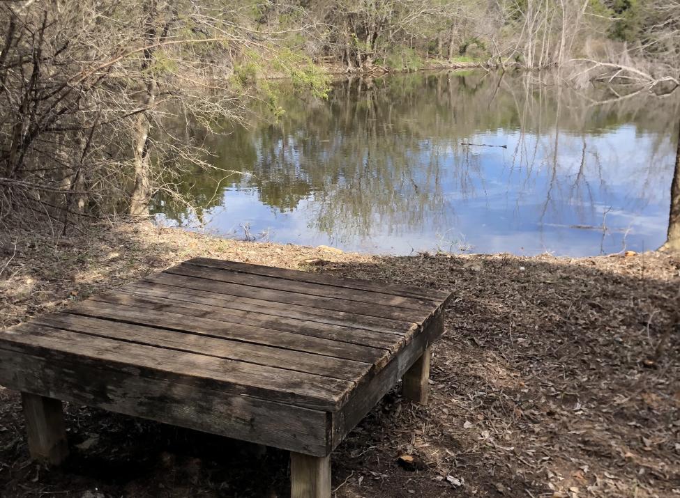 Pond