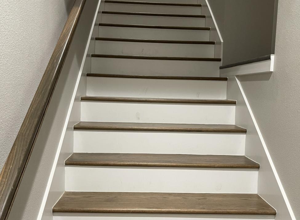 Stairs to Barn Suite