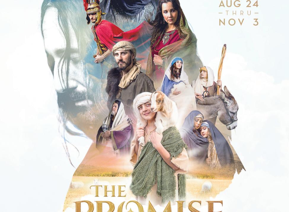 The Promise