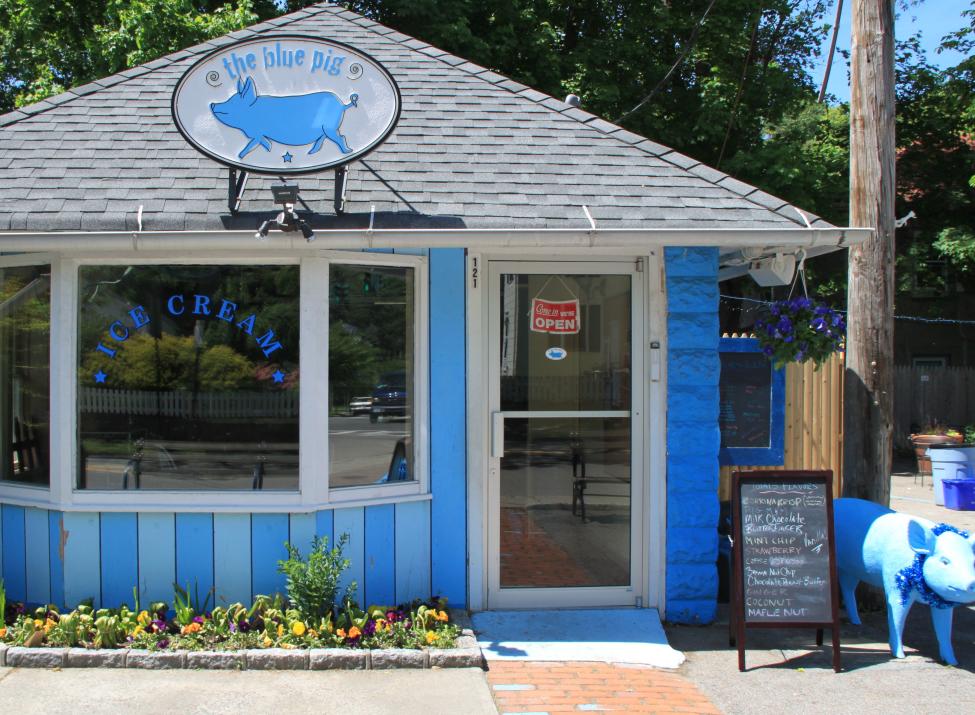 The Blue Pig