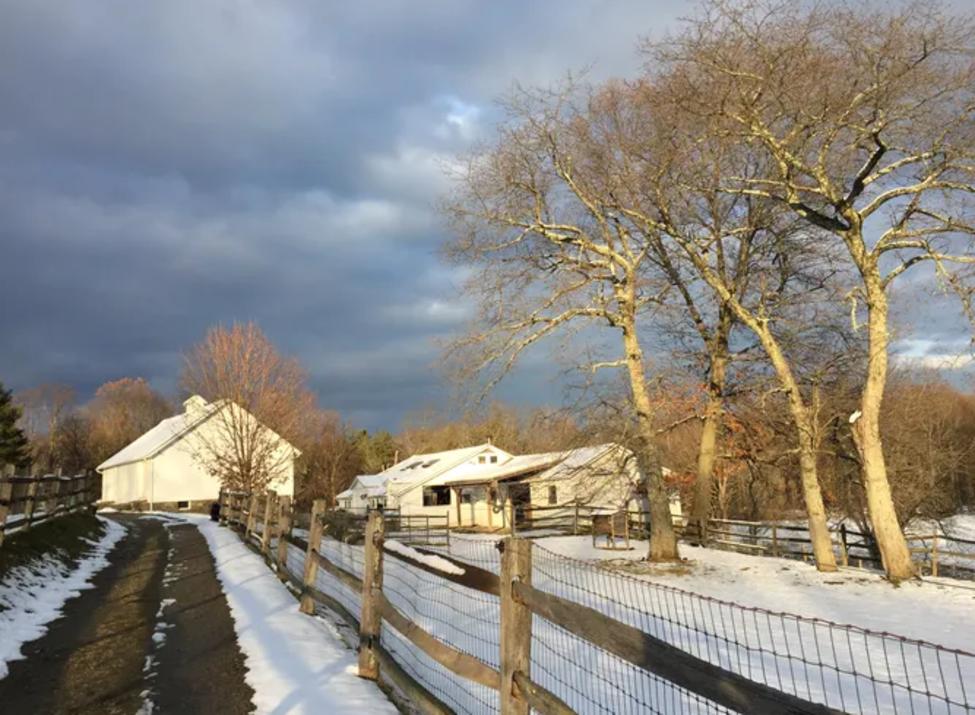 Faraway Farm Alpacas setting 1