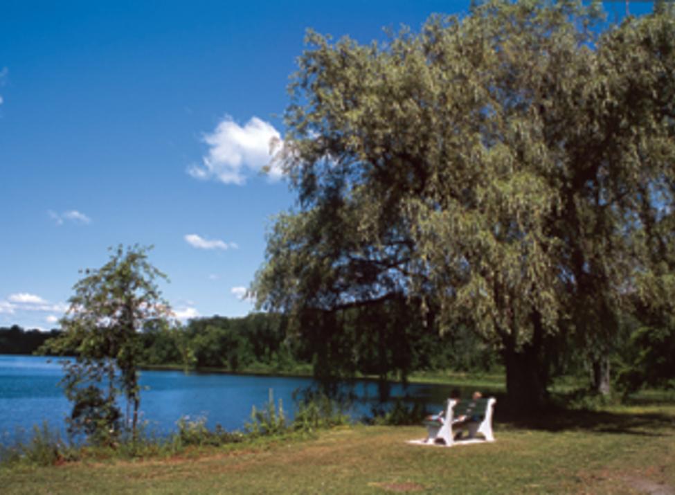 fdr state park