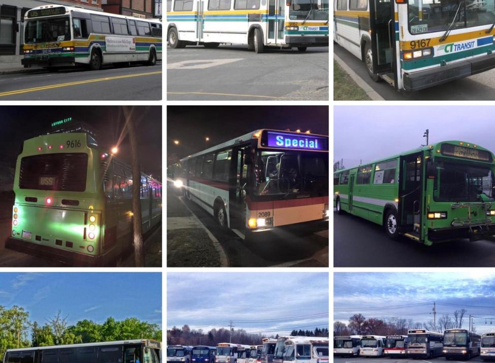Buses