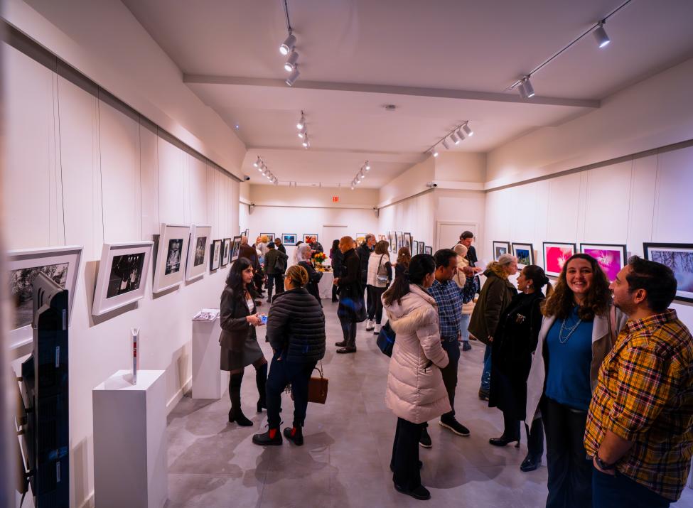 Vanda Art Gallery