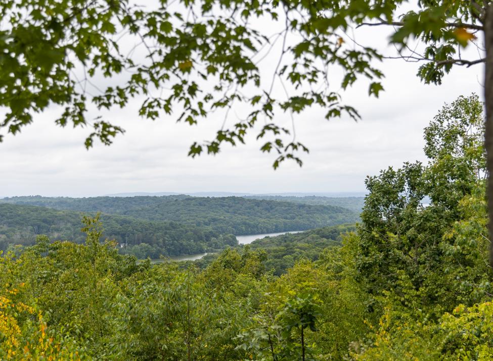 Ward Pound Ridge summer