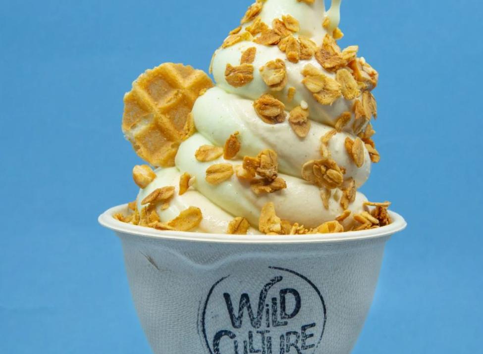 Wild Culture cup of frozen yogurt with granola topping