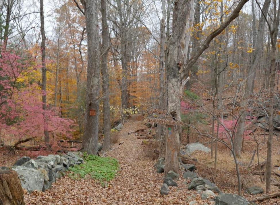 Briarcliff-Peekskill Trailway