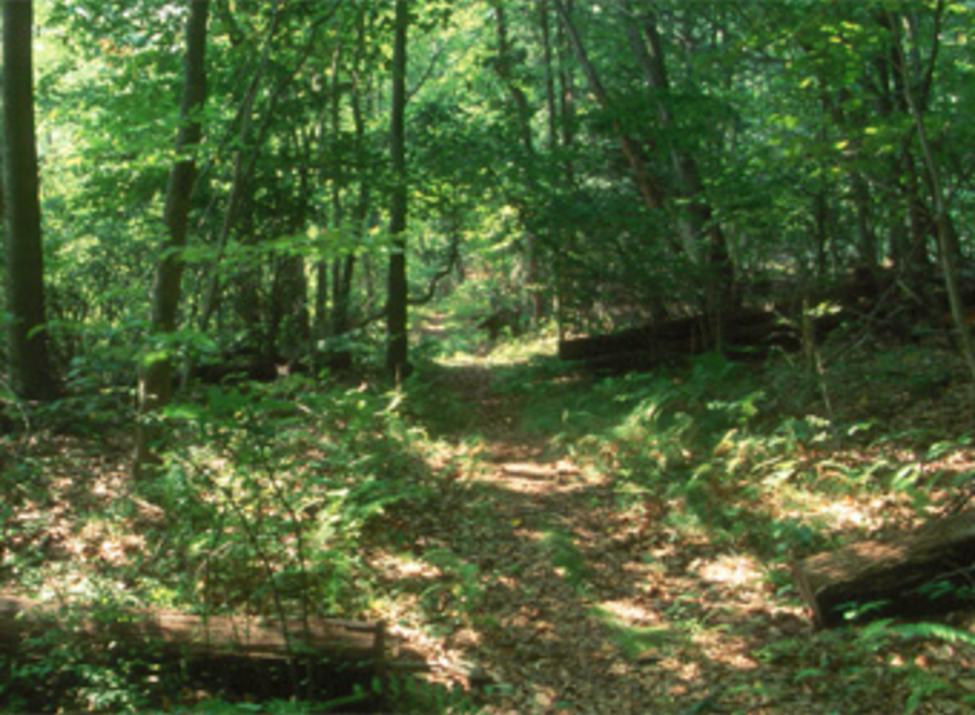 arthur w butler memorial sanctuary