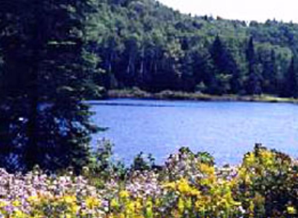 cranberry lake preserve