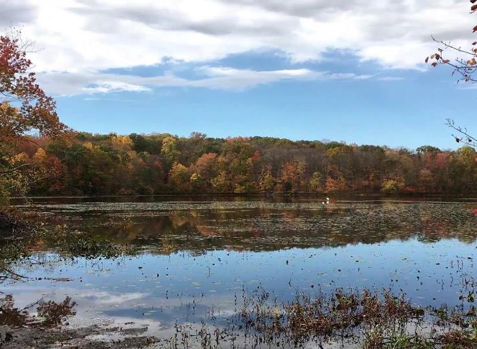 teatown lake reservation