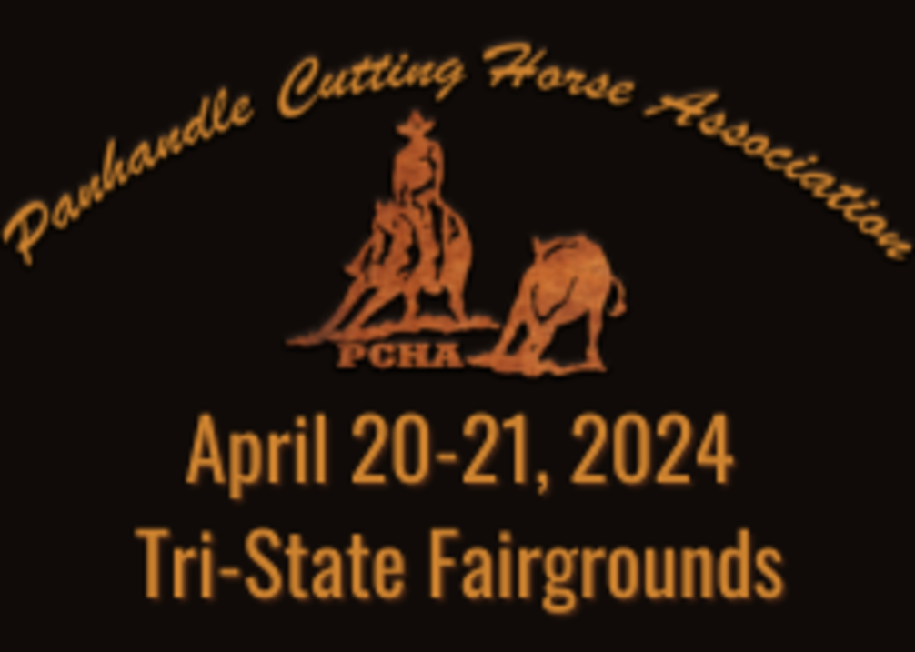 Panhandle Cutting Horse Association @ Panhandle Cutting Horse Association | Amarillo | Texas | United States
