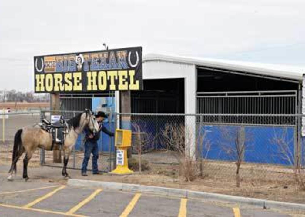 Big Texan Horse Hotel