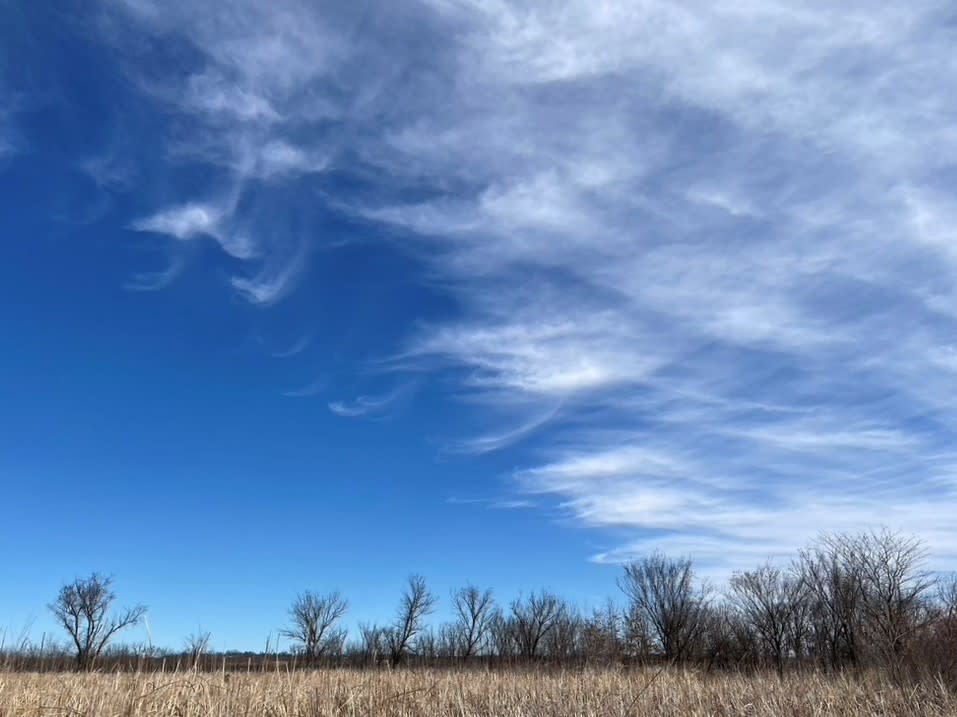 Baker Wetlands clouds