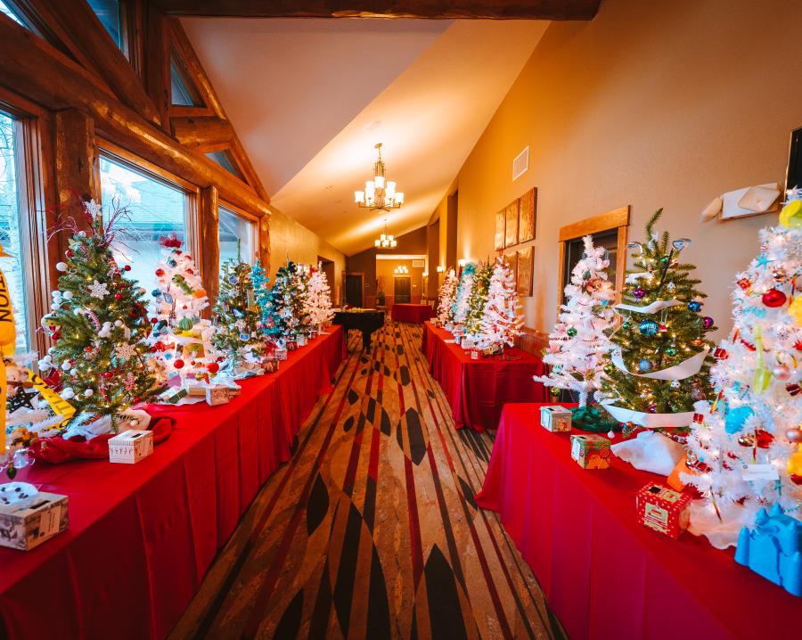 Estes Park Festival of Trees Holiday Light Display