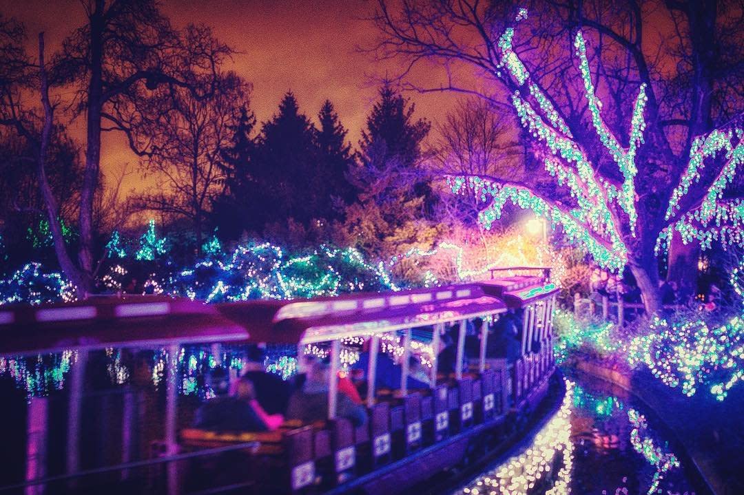 Cincinnati Zoo Festival of Lights train