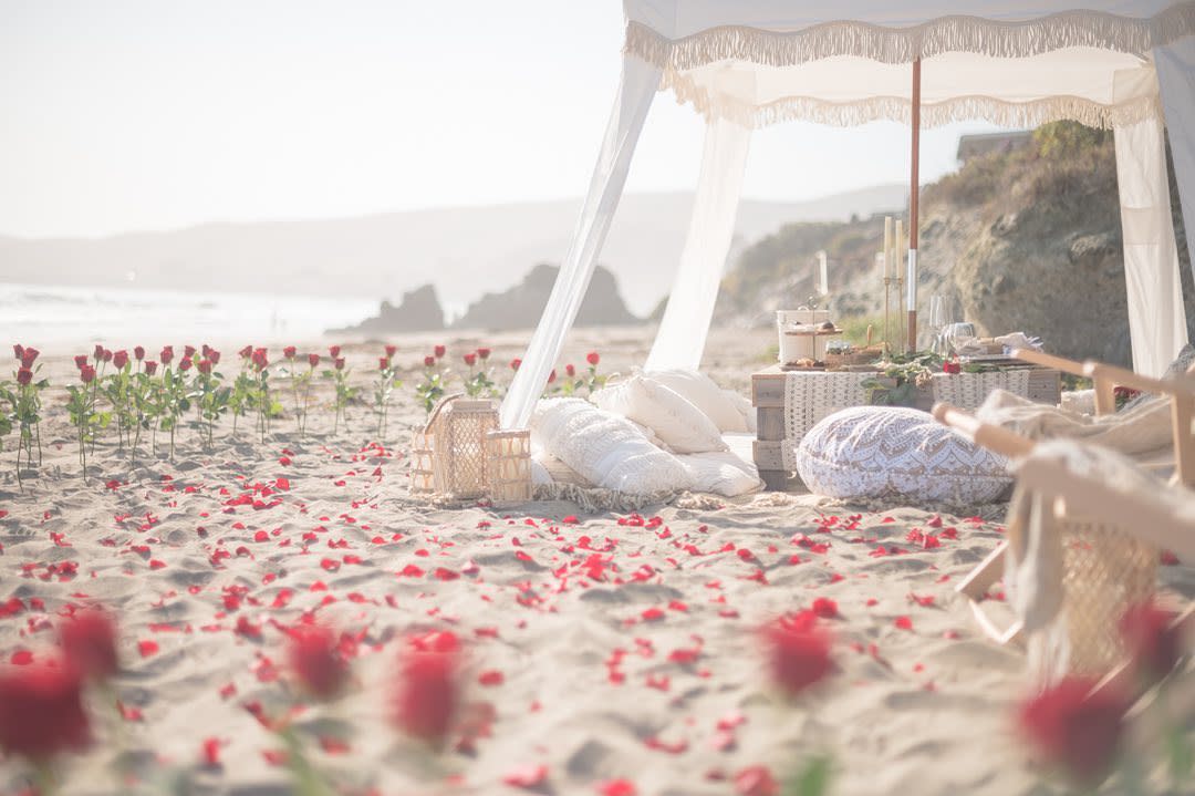 beach picnic with surrounding flowers