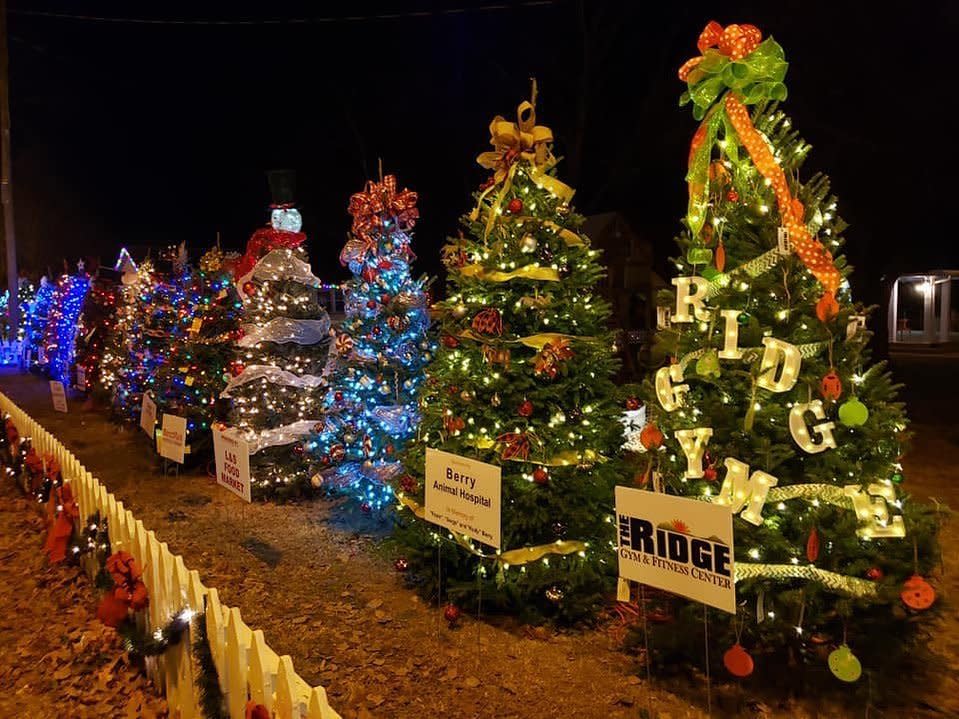 Christmas Activities in Alabama Christmas Tree Trails