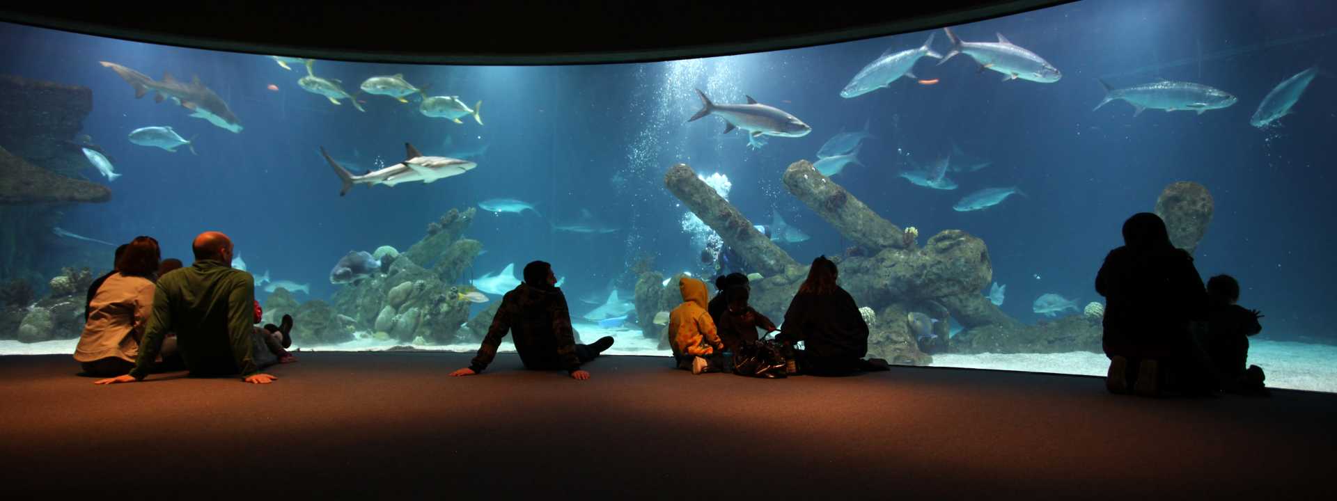 Albuquerque New Mexico Hotels, Restaurants & Things to Do New