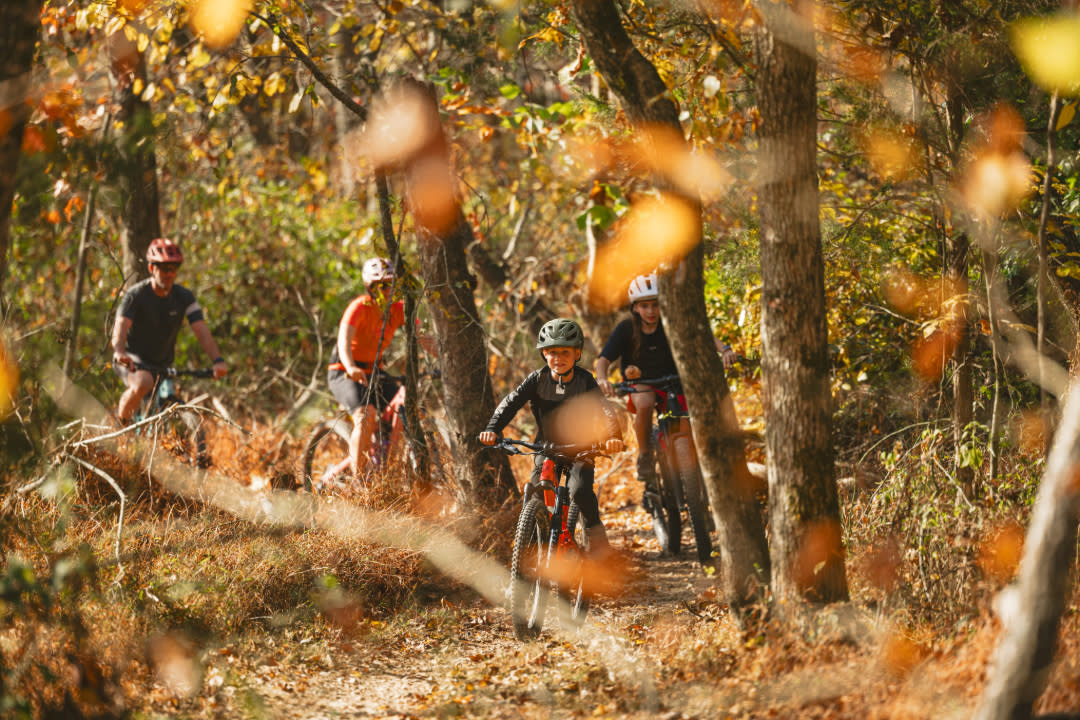 Four cyclists riding mountain bikes along a forest trail covered in autumn leaves, with sunlight filtering through the trees.
