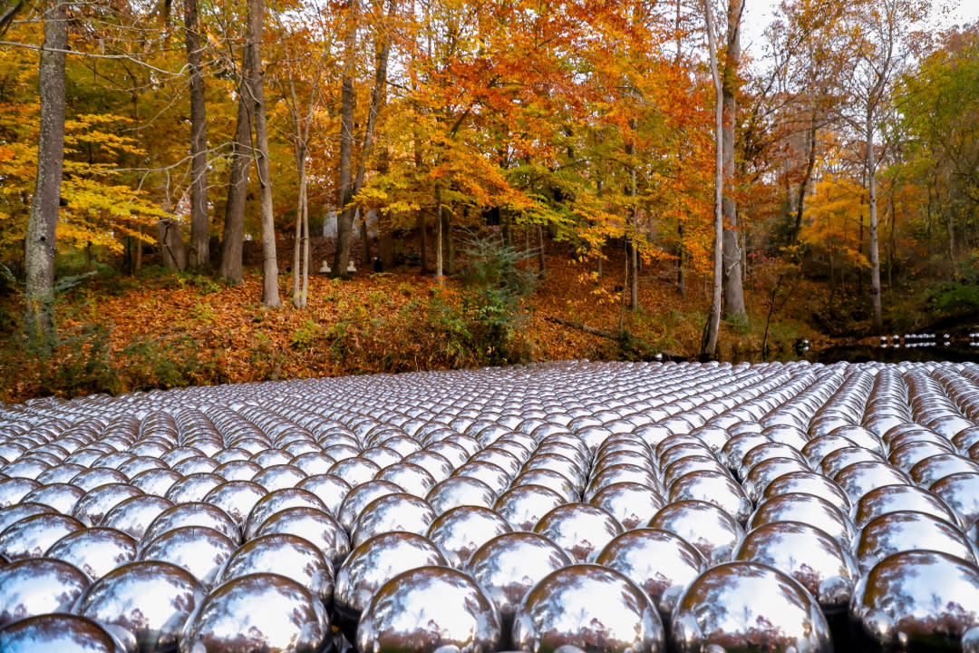 Yayoi Kusama’s Narcissus Garden (1966) installation along the Art Trail at Crystal Bridges Museum in Bentonville, Arkansas. Hundreds of reflective silver spheres are arranged in a pond amid vibrant autumn foliage.