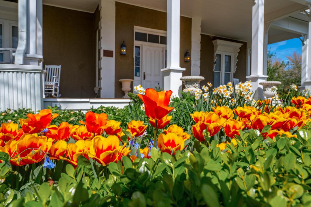 Three people ride bicycles on a paved path beside a modern glass building, The Ledger, with two cars on a nearby road under a clear blue sky.