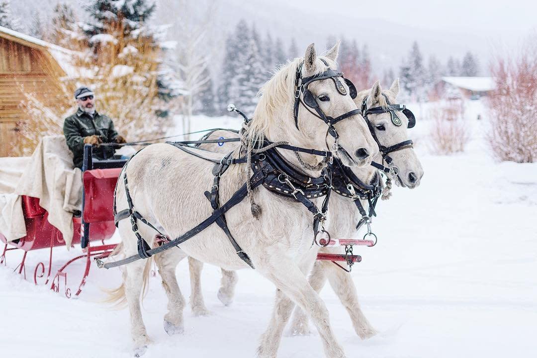 Photo by user dougloneman, caption reads Snowfall, mountains and a sleigh; could there be any better ingredients for Christmas? #montana #christmasinthemountains #horses #christmas @rainbowranchlodge