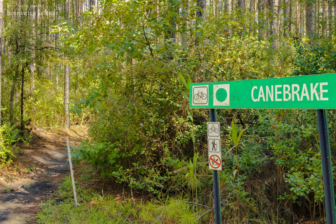 Brunswick Nature Park Biking Trail