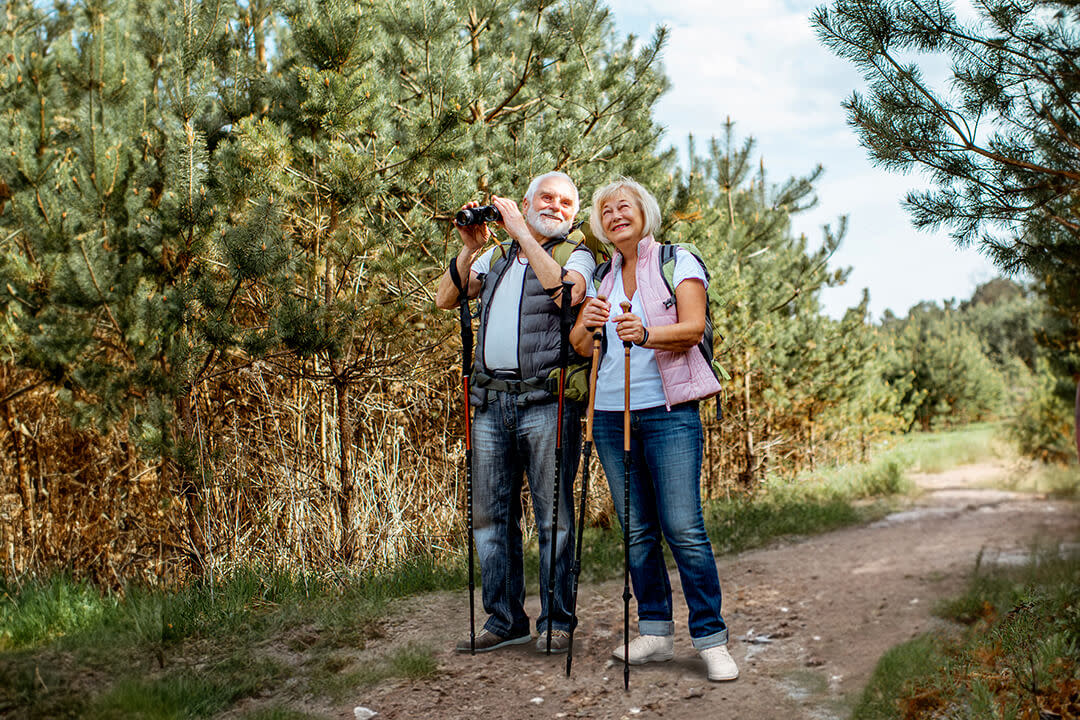 Texpert Birding