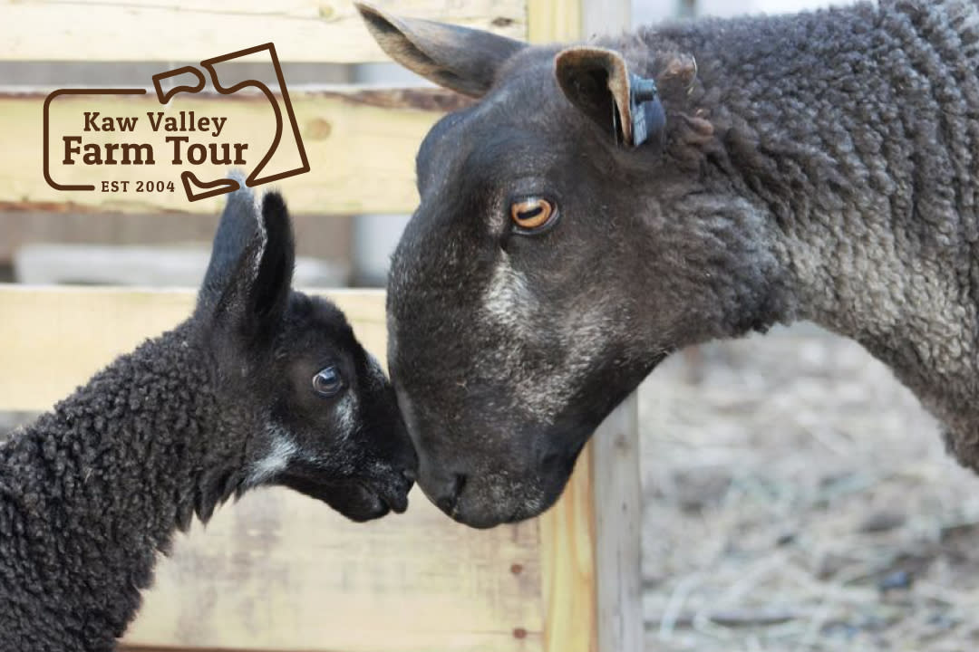 Kaw Valley Farm Tour